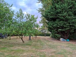 View from our pitch, pitched next to the farmhouse.