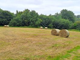 Hay rolls