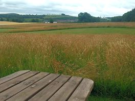 Picnic table at site