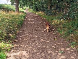 Cycle route 71.