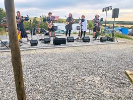 Ukulele band entertainment