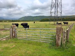 Just outside our caravan.