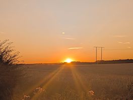 Beautiful sunset