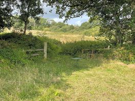 Surrounding walks