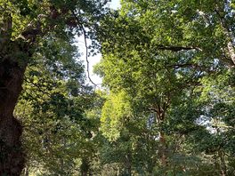Beautiful places to park up and camp.