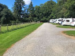 Site