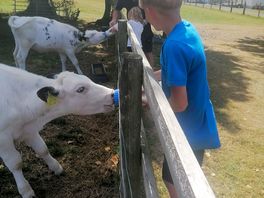 Kids got to feed the calves