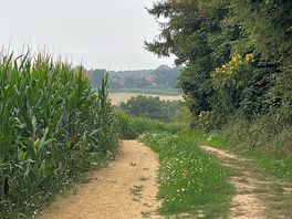 Walk from the site