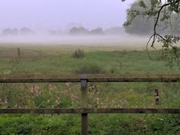 A misty evening
