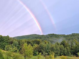 View from the tent