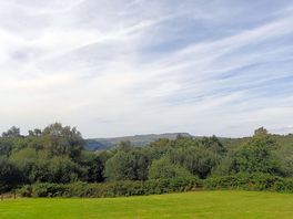 The view from our shepherds hut