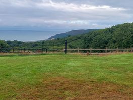 View from our campervan