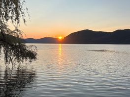 Donau vlak bij