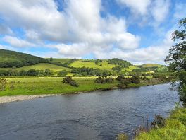 The river