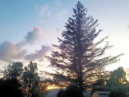 Wonderful weather