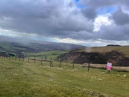 The views