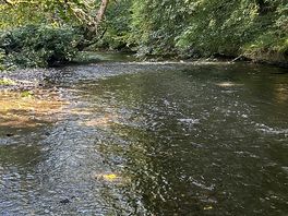 Great river side location