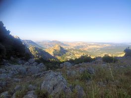 View from the top