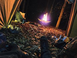 View from inside tent, forest area