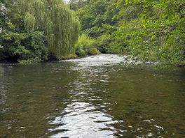 Another view of the river