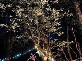 Night time