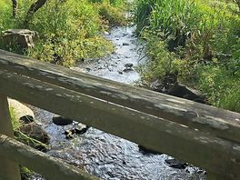10 minute walk from the site