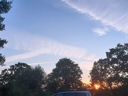 Sunset below the trees.