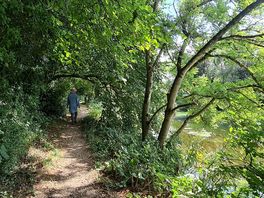 Walk near shapwick3