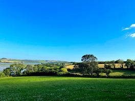 Estuary view
