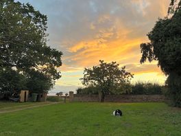 Chester the dog and our view of the sunset from our tent