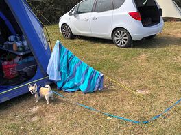 Happy campers