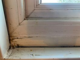 Unclean and appears to be more than needing a quick wipe. window in shower/toilet.