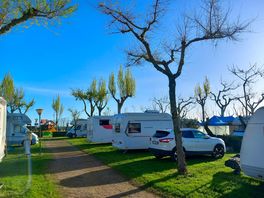 Piazzole molto belle