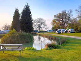 Lovely evening by the pond