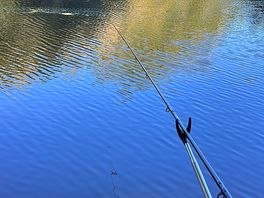 Fishing from my pitch