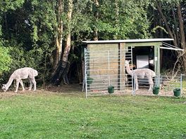 The neighbours accommodation