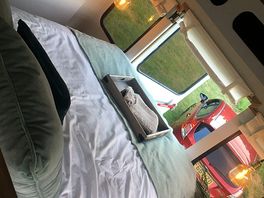 The wildaway