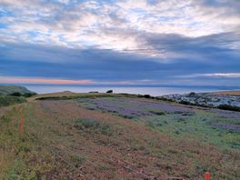 View from walk to hope cove