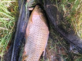Great fishing and 7 lakes to hooded from .