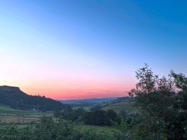 Morning views