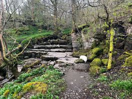 The old quarry