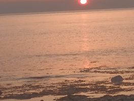 Beautiful sunset from the beach
