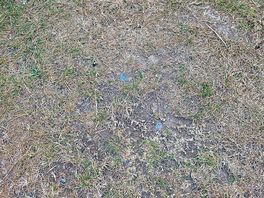 Poor ground