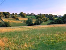 Fields