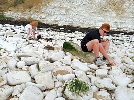 Danes dyke