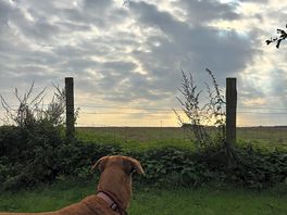 Beautiful spot to sit and relax while having a morning cuppa