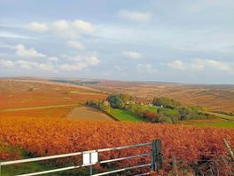 Stunning views half way round the farm walk