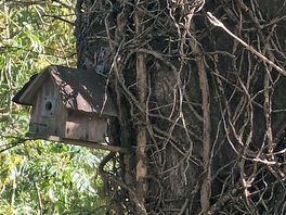 Bird house on site was a lovely touch