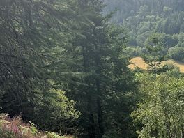 View from a nearby walking trail