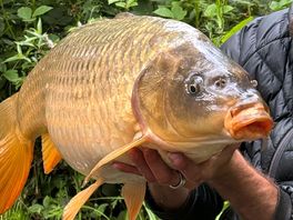 Fisherman’s catch from one of the lakes
